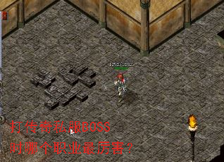 ����˽��BOSSʱ�ĸ�ְҵ��������