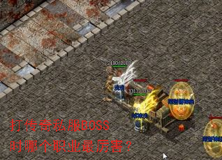 ����˽��BOSSʱ�ĸ�ְҵ��������