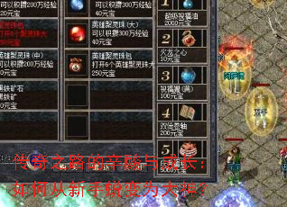 传奇之路的辛酸与成长:如何从新手蜕变为大神? 传奇之路的辛酸与成长:如何从新手蜕变为大神?