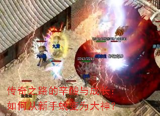 传奇之路的辛酸与成长:如何从新手蜕变为大神? 传奇之路的辛酸与成长:如何从新手蜕变为大神?