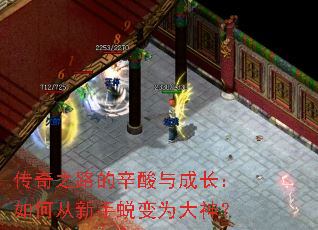 传奇之路的辛酸与成长:如何从新手蜕变为大神? 传奇之路的辛酸与成长:如何从新手蜕变为大神?