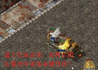 道士玩家必读:如何在团队竞技中发挥关键作用? 道士玩家必读:如何在团队竞技中发挥关键作用?