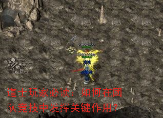 道士玩家必读:如何在团队竞技中发挥关键作用? 道士玩家必读:如何在团队竞技中发挥关键作用?