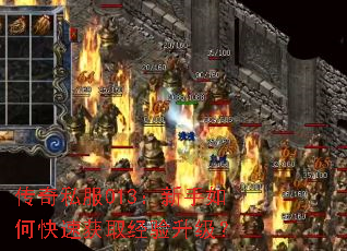 ����˽��013��������ο��ٻ�ȡ����������