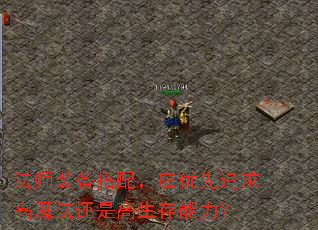 法师装备搭配,应优先追求高魔法还是高生存能力? 法师装备搭配,应优先追求高魔法还是高生存能力?