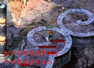 ������ο��ٻ�ȡԪ������Ч����ս����