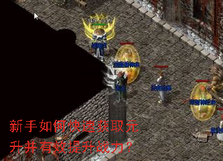 ������ο��ٻ�ȡԪ������Ч����ս����