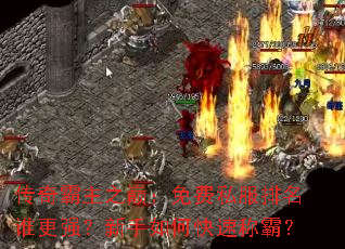 �������֮�ۣ����˽������˭��ǿ��������ο��ٳưԣ�