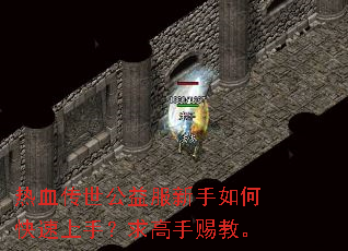 热血传世公益服新手如何快速上手?求高手赐教。 热血传世公益服新手如何快速上手?求高手赐教。