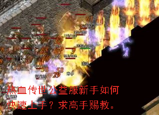 热血传世公益服新手如何快速上手?求高手赐教。 热血传世公益服新手如何快速上手?求高手赐教。