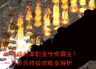 ��γ�Ϊ��ְҵ���������һ����ɱ�ռ�����ȫ����