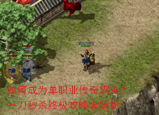 ��γ�Ϊ��ְҵ���������һ����ɱ�ռ�����ȫ����