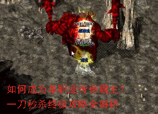 ��γ�Ϊ��ְҵ���������һ����ɱ�ռ�����ȫ����