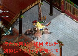 �����ֵ��ǣ���ο���������������ݹ��Դ����