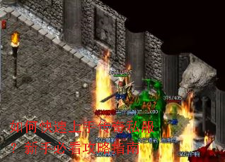 ��ο������ִ���˽�������ֱؿ�����ָ��