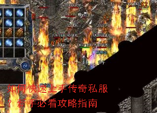 ��ο������ִ���˽�������ֱؿ�����ָ��