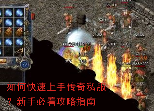 ��ο������ִ���˽�������ֱؿ�����ָ��