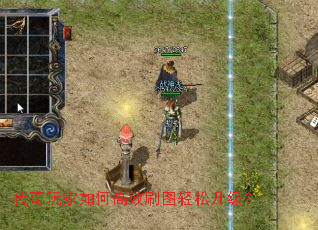 ���������θ�Чˢͼ����������