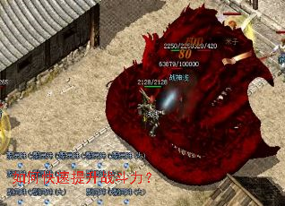 ��ο�������ս������