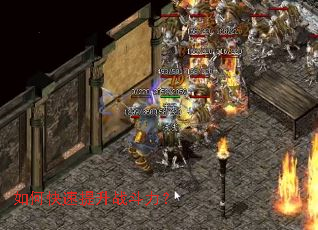 ��ο�������ս������