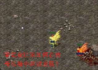 ��봽��������ڴ���˽���и�Ч��չ��