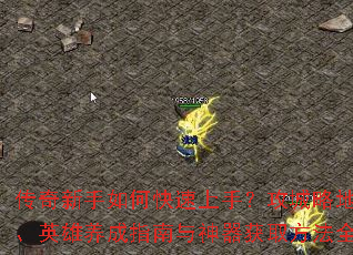 ����������ο������֣������Եؼ��ɡ�Ӣ������ָ����������ȡ����ȫ����