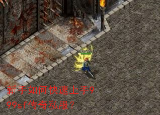 ������ο�������999sf����˽����