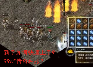 ������ο�������999sf����˽����