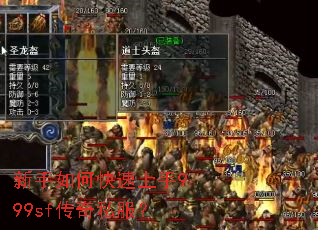 ������ο�������999sf����˽����