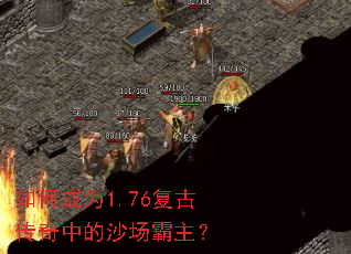 ��γ�Ϊ1.76���Ŵ����е�ɳ��������