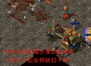 ����˽���ư�ɳ�Ǳر����ԣ�����С����κ�ɨǧ����