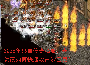 2026����Ѫ����˽�����������ο��ٹ�ռɳ�Ϳˣ�