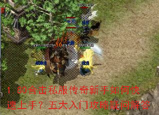 1.80�ϻ�˽������������ο������֣�������Ź������ʽ��