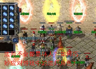 ��ʦ��ȫ���ǻ��ˣ��������Ӧ����Ϸ�еķ�ʦ��ɫ��