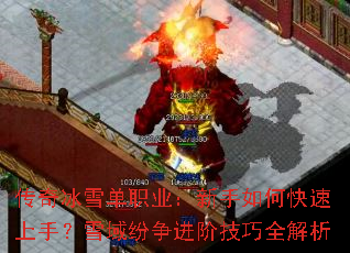 �����ѩ��ְҵ��������ο������֣�ѩ��������׼���ȫ����