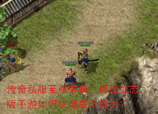 ����˽�����𱦵䣺�ռ���̬��������ο�������ս����