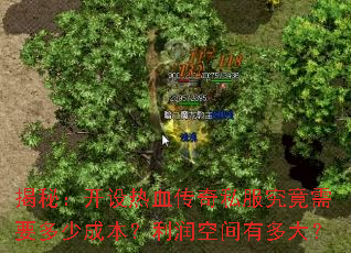 揭秘:开设热血传奇私服究竟需要多少成本?利润空间有多大? 揭秘:开设热血传奇私服究竟需要多少成本?利润空间有多大?