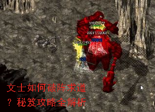 ��ʿ���������������Ź���ȫ����