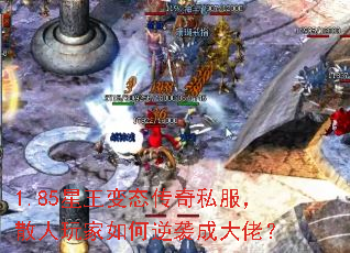 1.85������̬����˽����ɢ����������Ϯ�ɴ��У�