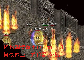 ����GM����ƽ̨��������ο������ֲ��ư���Ϸ��