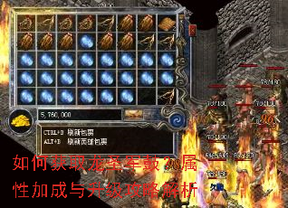 ��λ�ȡ��ʥ���ģ����Լӳ����������Խ���