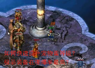 ��ο����������ﵰ�ȼ�����Ʒװ�����ı�����ߣ�