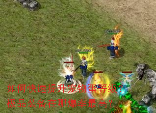 ��ο����������ﵰ�ȼ�����Ʒװ�����ı�����ߣ�