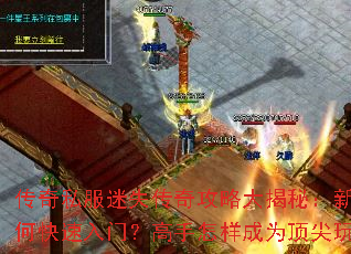 ����˽����ʧ���湥�Դ���أ�������ο������ţ�����������Ϊ������ң�