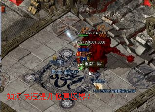 ��ο����������澳�磿