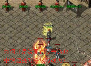 ���������ɺ�ڴ�����Ϸ�п��������ȼ���ս����