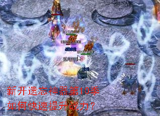 �¿�����������10����ο�������ս����