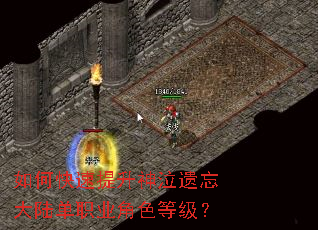 ��ο�����������������½��ְҵ��ɫ�ȼ���