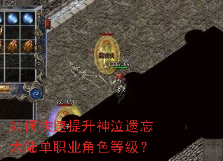 ��ο�����������������½��ְҵ��ɫ�ȼ���