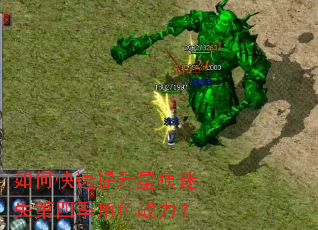 ��ο��������Ǻ���ʧ���ļ���ɫս����